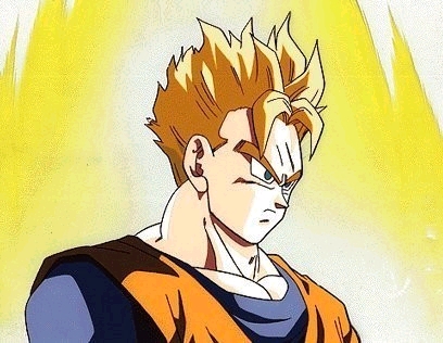 gohan3.jpg